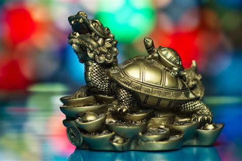 are turtles good luck in china